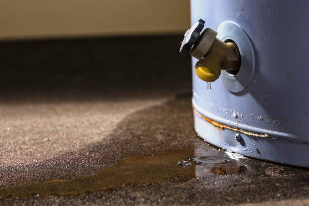 Best Water damage restoration experts  in Springdale, MD