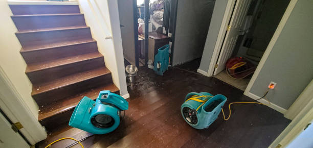 Best Water damage contractors near me  in Springdale, MD
