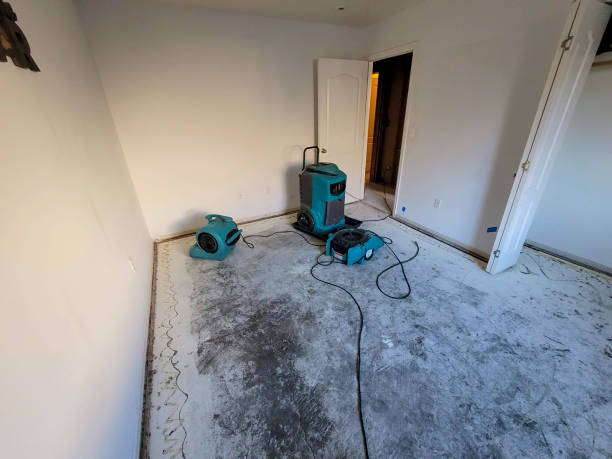 Best Flooded house restoration  in Springdale, MD