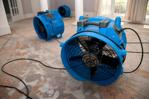 Professional Water damage restoration in Springdale, MD
