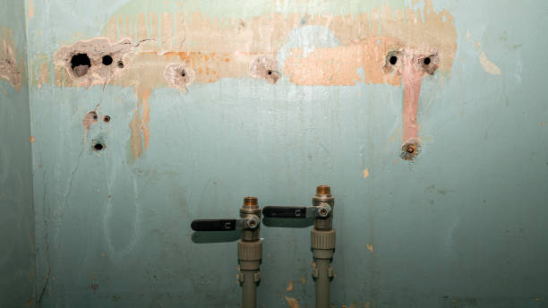 Best Residential water damage restoration  in Springdale, MD