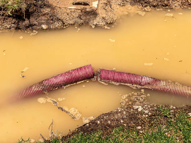 Best Water damage restoration near me  in Springdale, MD