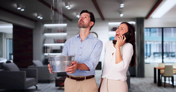 Reliable Springdale, MD Water damage restoration Solutions