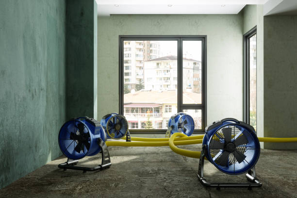Carpet water damage restoration in Springdale, MD